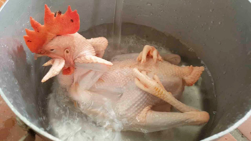 cách làm gà đồi gia kiệm