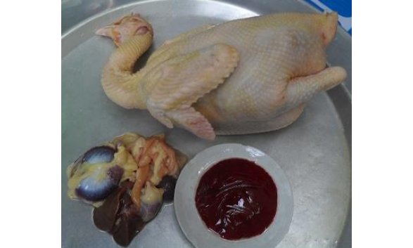 Gà mái dầu đặc biệt